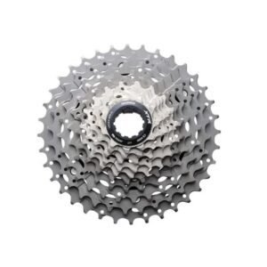 Pacha Shimano