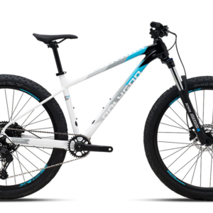 Bicicleta polygon xtrada 5 aluminio